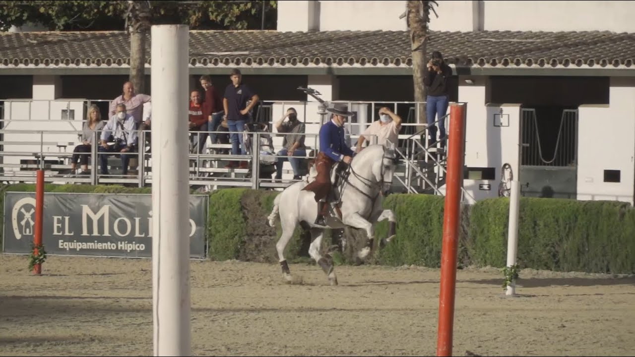 TODOCABALLO Capítulo 96: IV Ed. Campeonato de Andalucía de Equitación de Trabajo