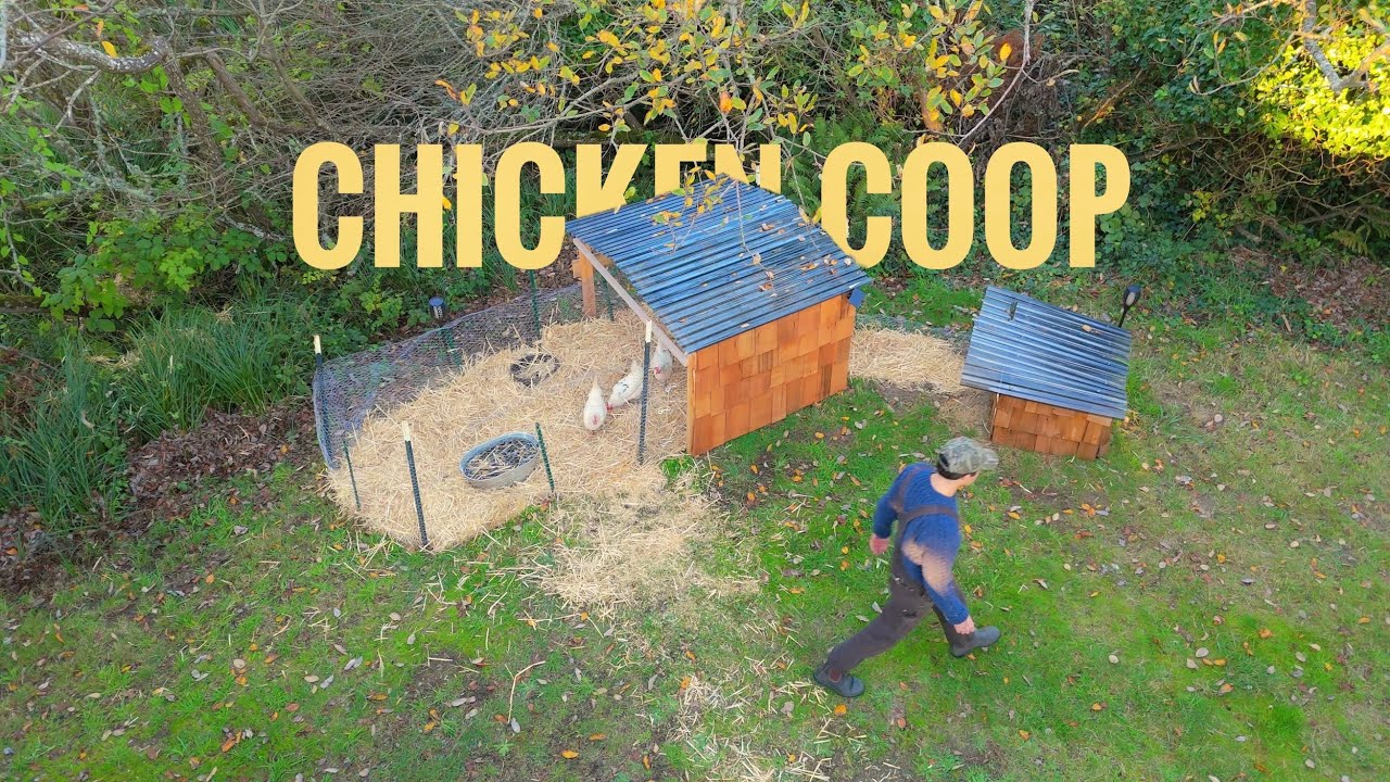 DIY Chicken Coop Tour | Cheap Build
