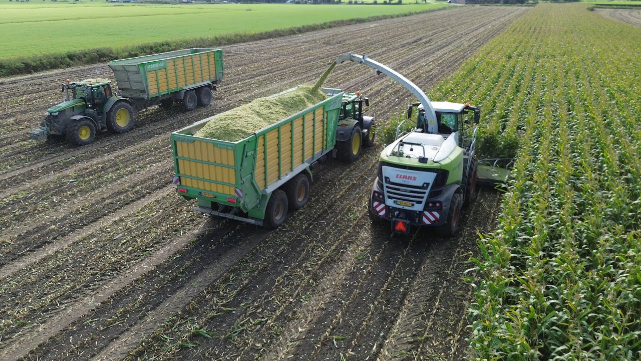 Mais Hakselen 2025 | Claas Jaguar 950 + 2x John Deere 6R 215 | Mechielsen