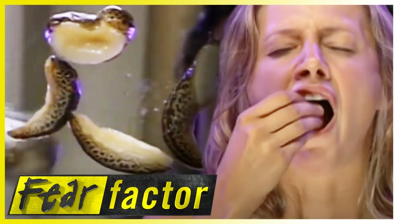 SLUG Eating & BRIDGE Building! 🤢 | Fear Factor US | S03 E12 | Full Episodes | Thrill Zone