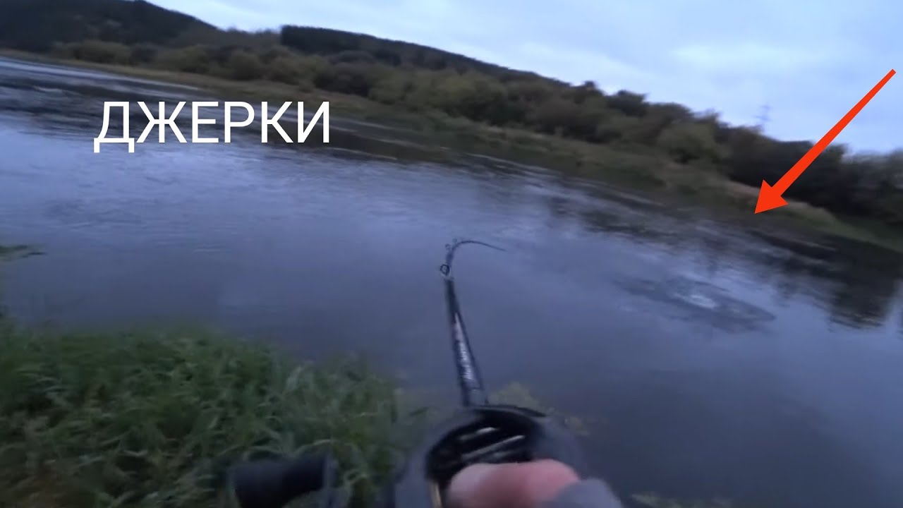 ЩУКА на ДЖЕРКИ!!! Первый трофей!!