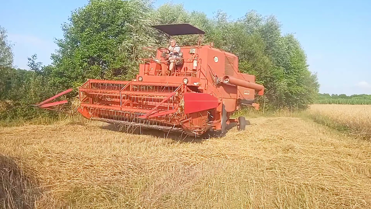 Żniwa żyta 2021 ⭐Bizon w akcji⭐