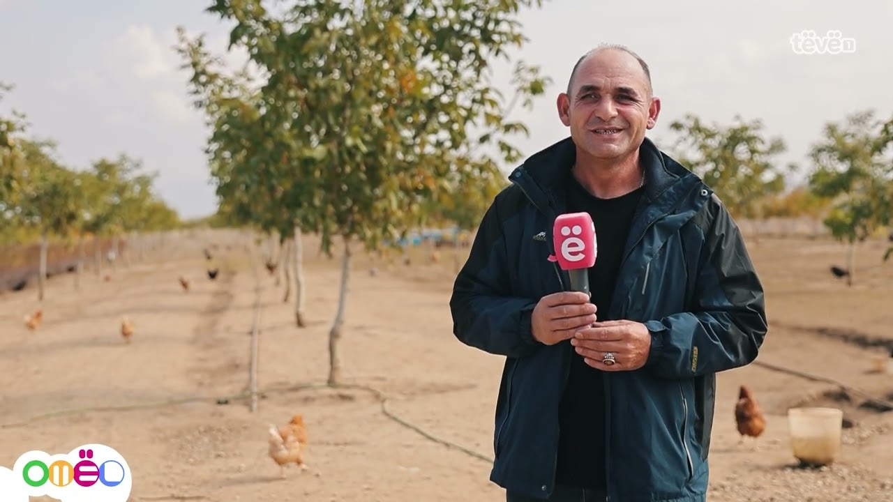 “Mbasi jetojmë në fshat, pse mos me e shfrytëzu tokën”–fermeri me mbi 1000 pula dhe pemë të ndryshme