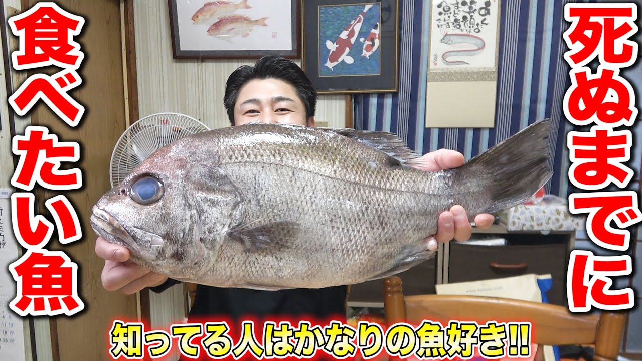 激レア！！人生で1度は食べておきたい魚が手に入ったので捌きました！！