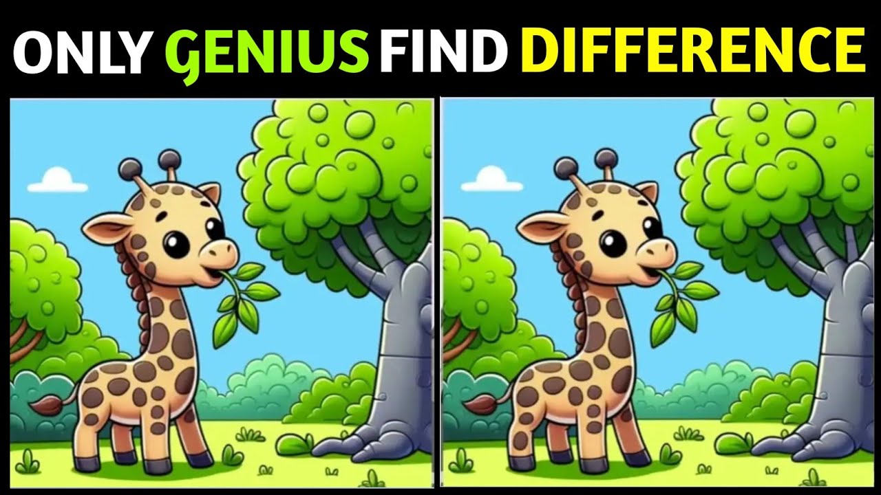 Spot The Difference: Can You Find Them All? [ Find The Difference ] | Riddle Hunt