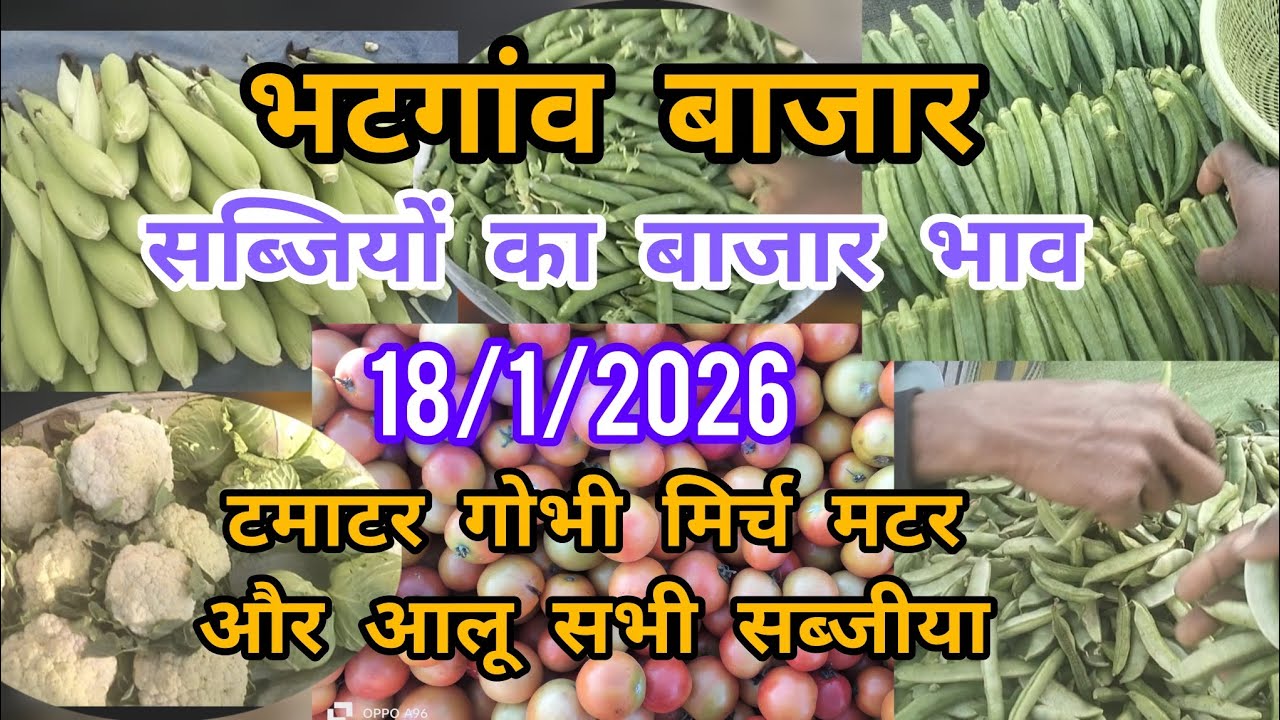 सब्जियों का बाजार भाव || 18/1/2026 || भटगांव  रविवार बाजार || अंबिकापुर सब्जी मंडी || #ambikapur  