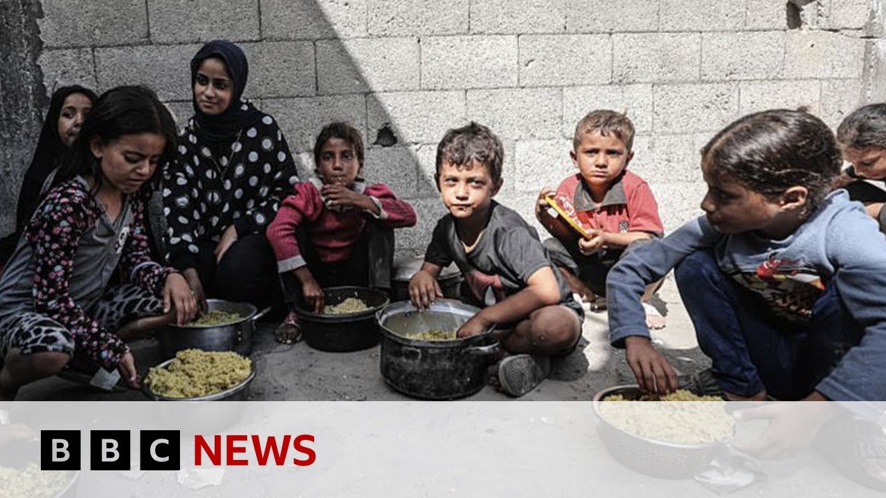 Gaza experiencing health &lsquo;catastrophe&rsquo; that will last generations, says WHO | BBC News