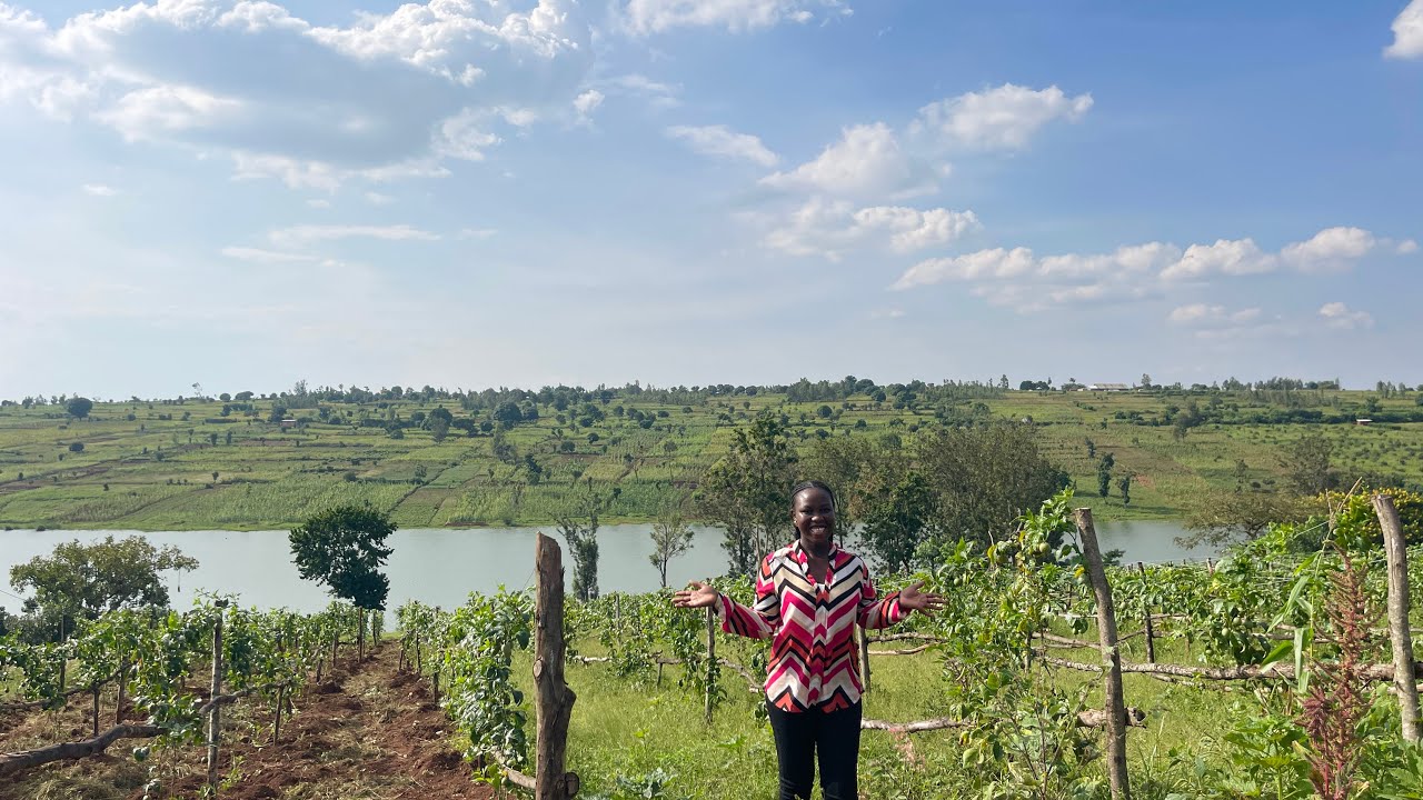 4.5 hectares of farmland for sale in Rwanda by the lake. 