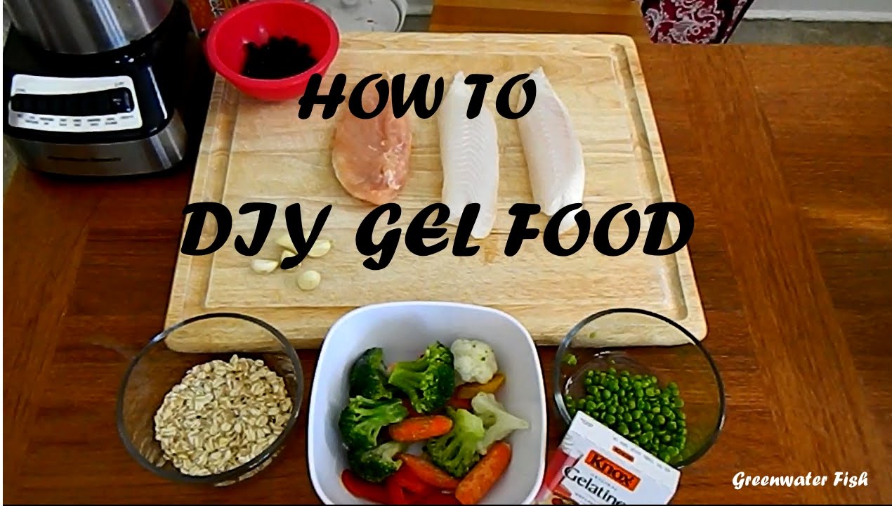 How To Make DIY Gel Food for Fish