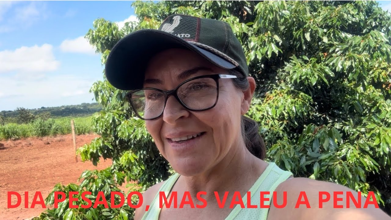 🌱 Um dia na roça: plantando açafrão, manga e colhendo ovos de galinha-da-angola🐓🥭🥚