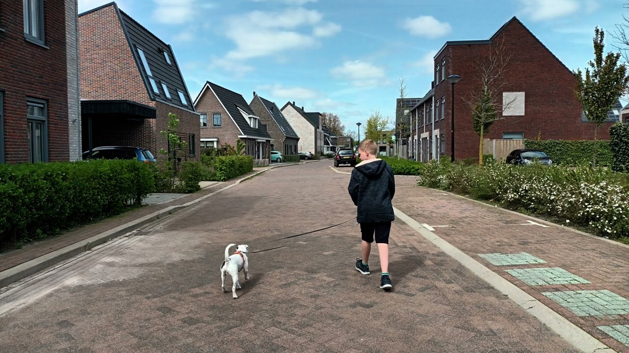 Veldonderzoek de Draai