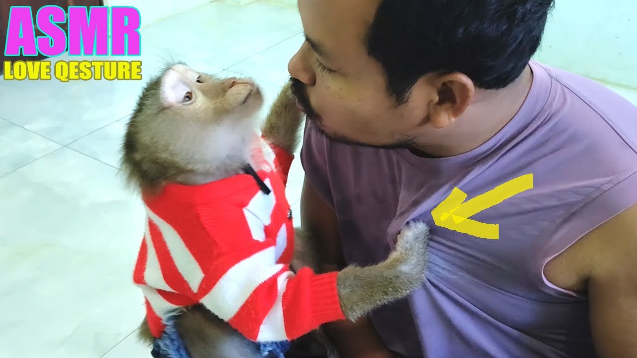 Very lovely Monkey 🥰 Possessive Before Start Urge ASMR