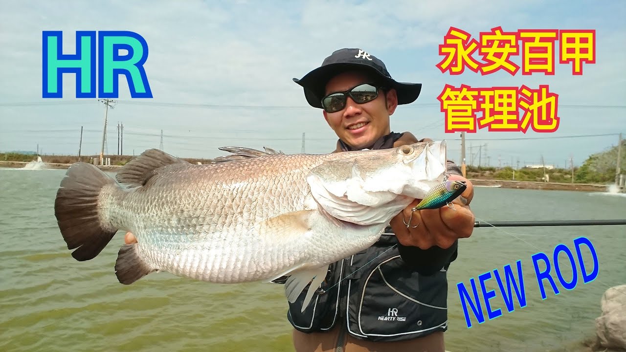 HR VALLEY HUNTER 溪谷獵人永安百甲管理池技巧講解(MEGABASS、JIG、SWIMBAIT、低活性、DAIWALUVAIS、冰絲涼感、清涼短褲)