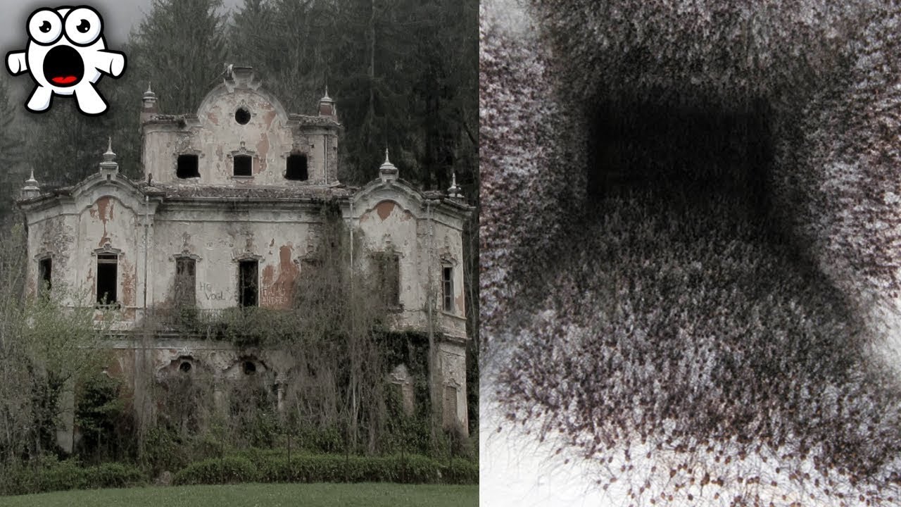 Casas Assombradas Que Você Não Entraria Nem Se Te Pagassem