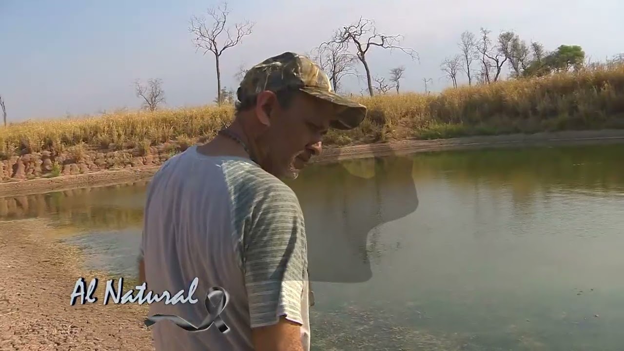 A Natural: Maravillosa Fauna en la Estancia Chovoreka
