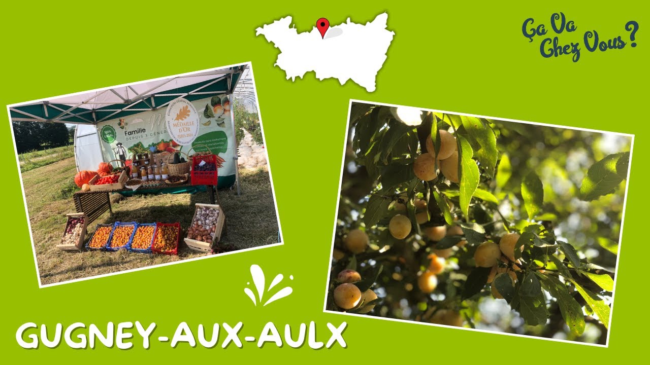 Ça va chez vous ? À Gugney-aux-Aulx