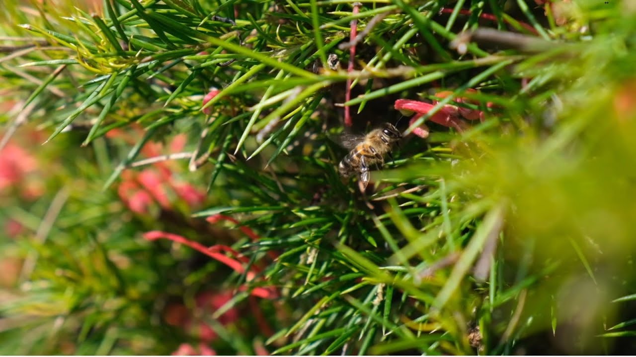 Bienvenue au Lycée Horticole Publique du Morbihan