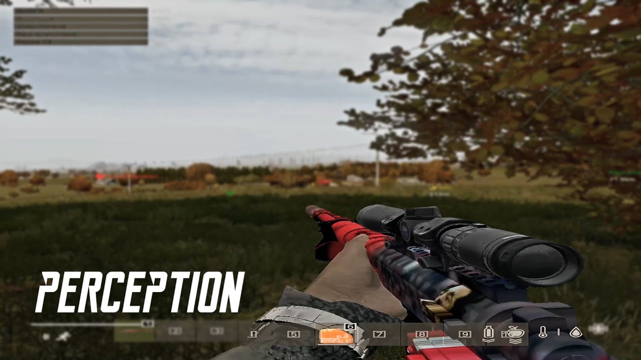 Kawasaki DayZ Montage The Perception #6 #dayz #4k #montage