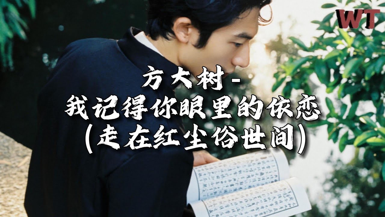 方大树 - 我记得你眼里的依恋（走在红尘俗世间）『就算换了时空变了容颜，我依然记得你眼里的依恋。』【动态歌词MV】