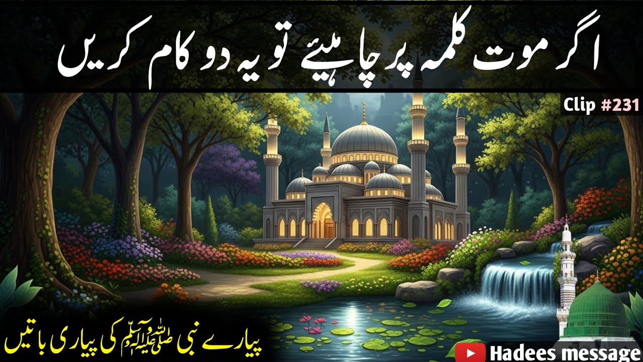 Hadees Message (231) | Hadees quotes in Urdu and Hindi by Hadees Message 