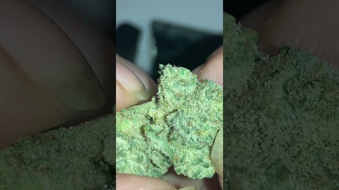 MAC V2 by strane a Pennsylvania Medical Marijuanas Grower Stepping Up It&rsquo;s game and still playing U2