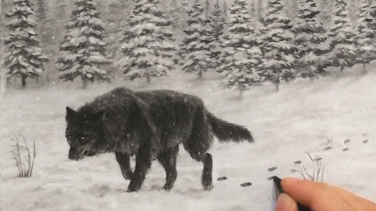 Winter Landscape Charcoal Drawing - Black Wolf in Snow