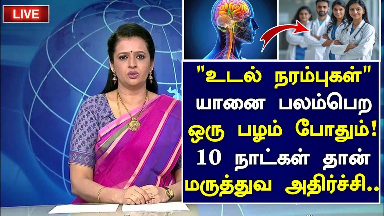 60 வயதிலும் நரம்புகள் பலமாக இருக்க ஒரு பழம்😱|Senior citizens Health Tips Tamil| Health Tips in Tamil