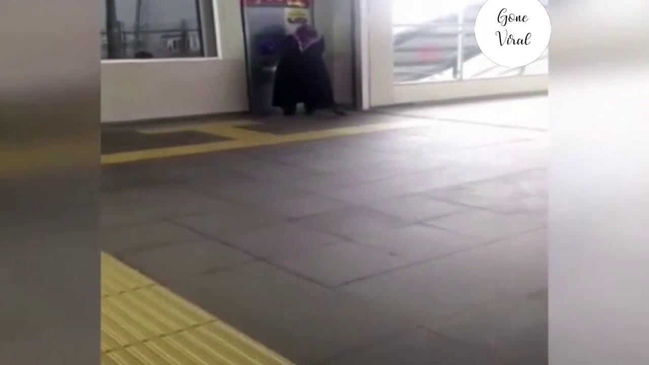 Crow steals woman&rsquo;s cash from vending machine