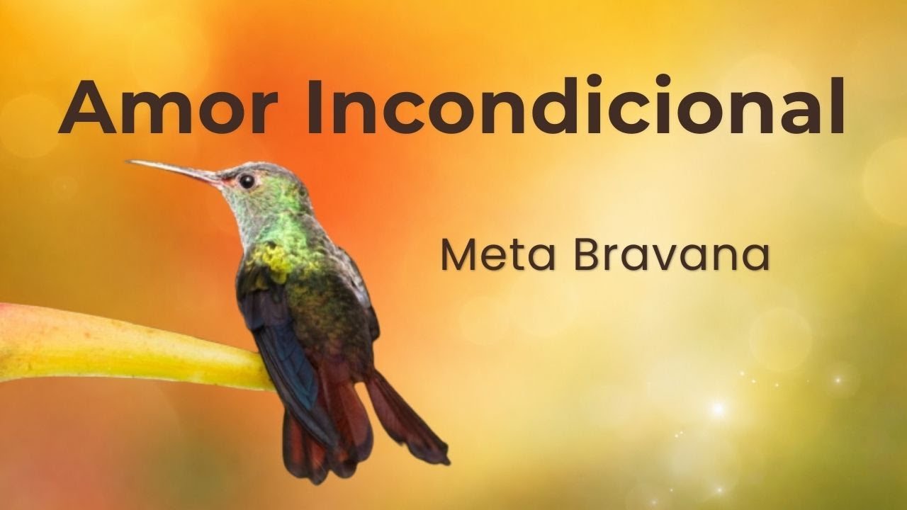 El Cuento del Colibrí | Meditación del Amor Incondicional (Metta Bhavana