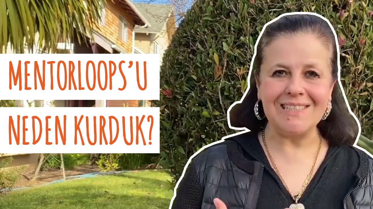 Silikon Vadisi'nde Mentorloops'u Neden Kurduk?