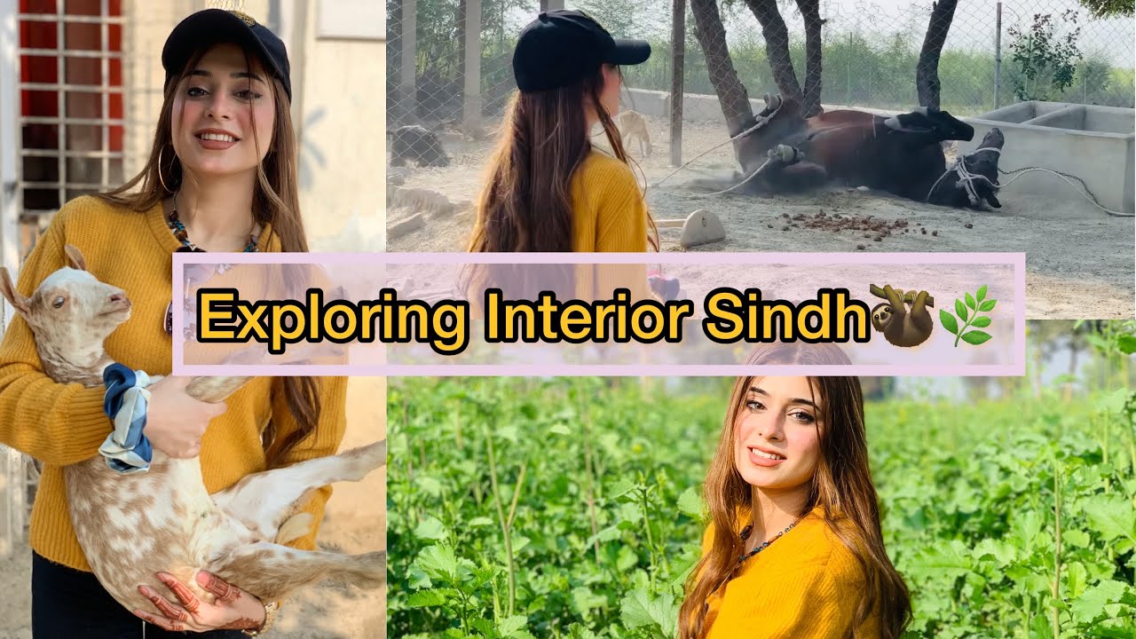 Maheen Obaid ki sharartein bhaari par gayin👀🤧