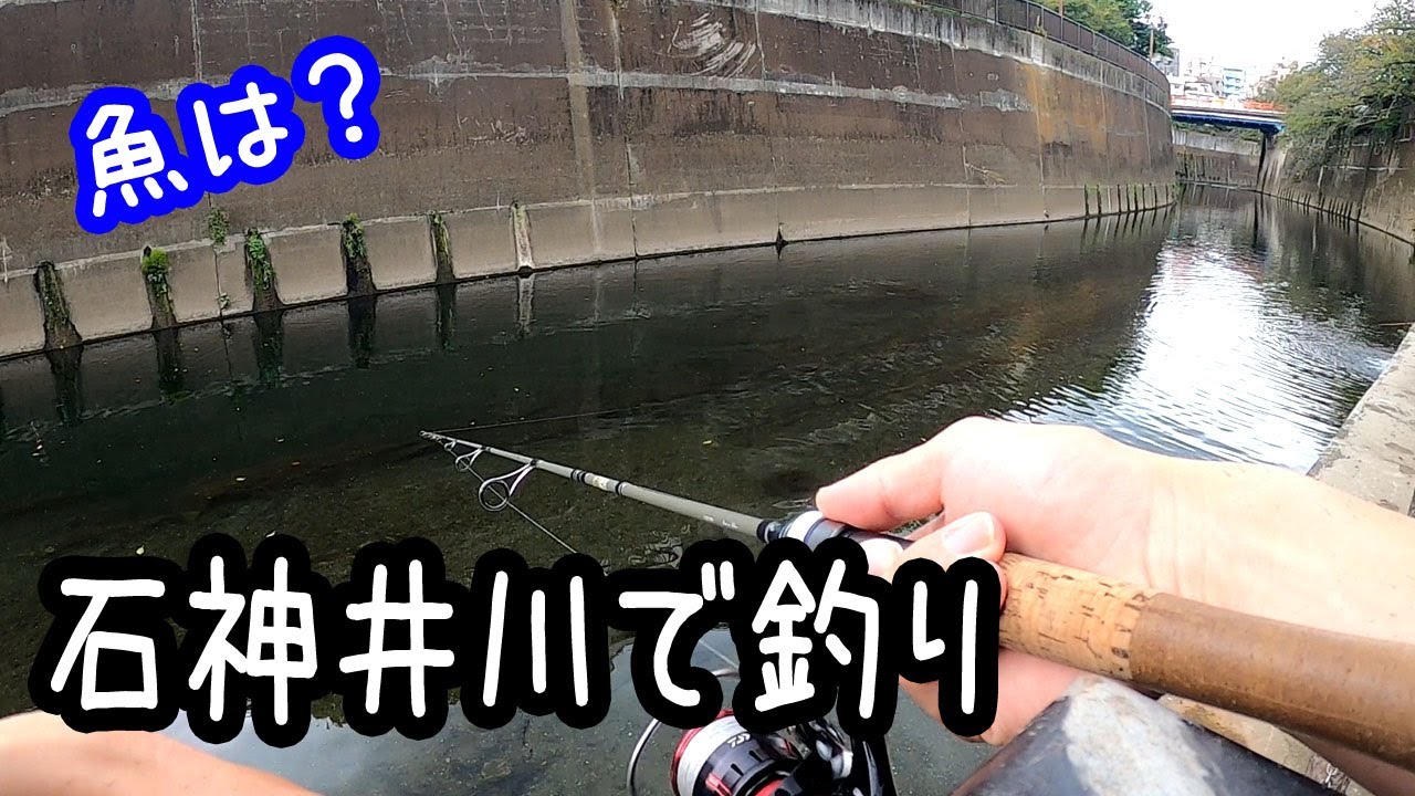 石神井川で魚釣り！【東京】