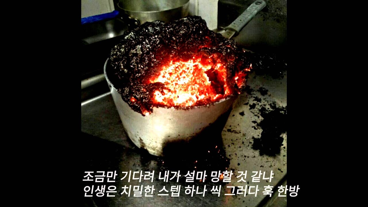 뉴챔프(New Champ) - 전채요리 + 곰탕 2%