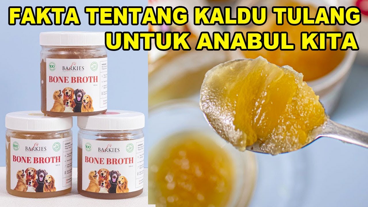 Fakta Tentang Kaldu Tulang Untuk Anabul Kita - Barkies Bone Broth