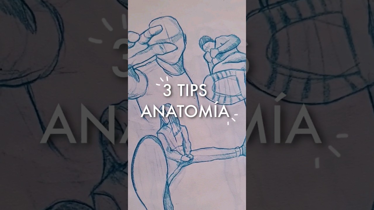 3 errores comunes en anatomía ❌️✏️ | 