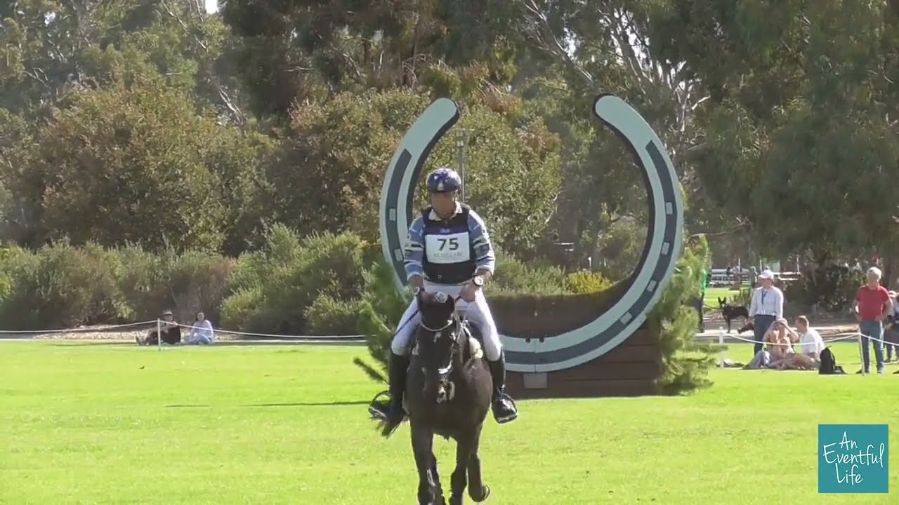 Shane Rose on The Bandit at Adelaide Equestrian Festival 2025