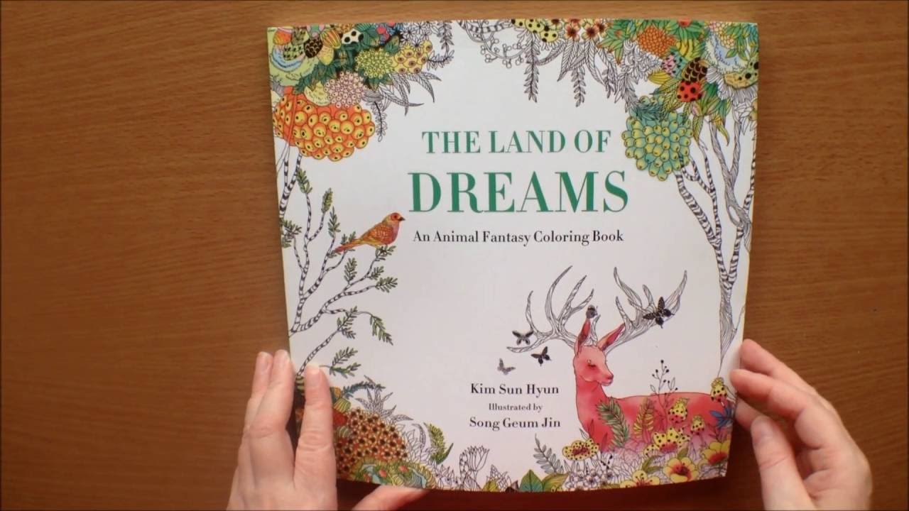The Land of Dreams by Kim Sun Hyun / Song Geum Jin Colouring Book Flipthrough