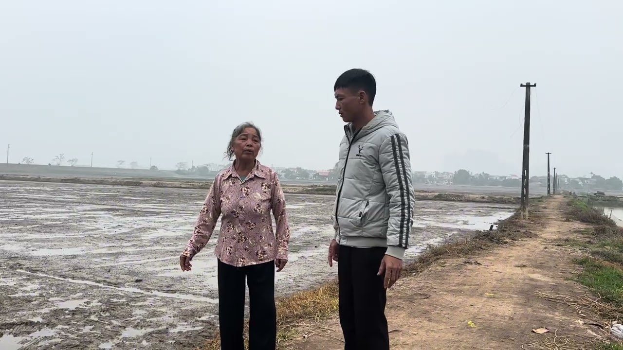 Cay cú không chịu được toàn gặp bà doi 