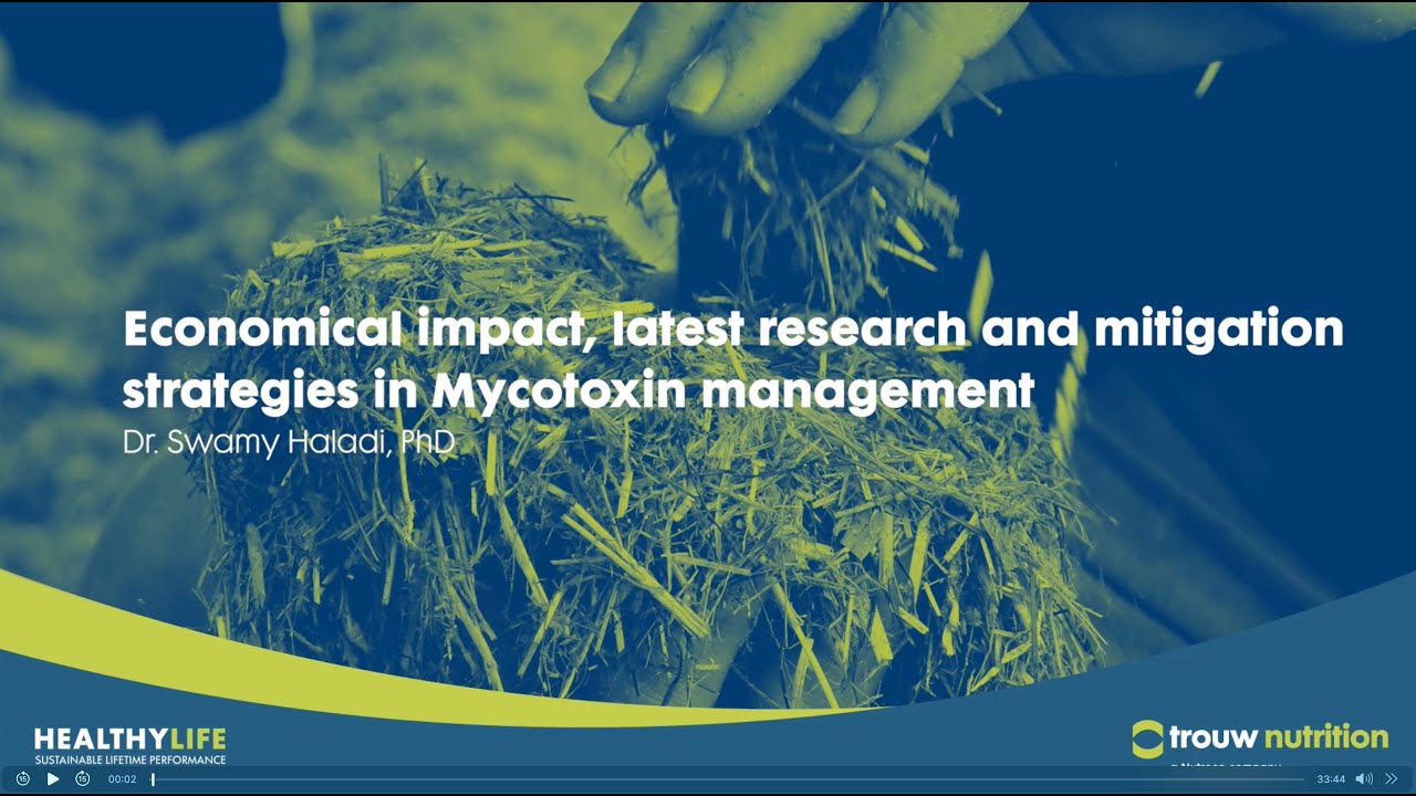 Strategies to manage mycotoxin risk in dairy cows by Dr. Swamy Haladi, PhD