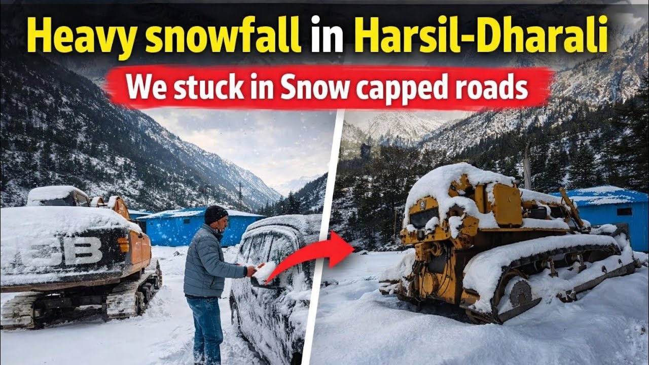 Update on Dharali After snowfall, Extremely snowfall roads block, Struggle with snow, All Update 