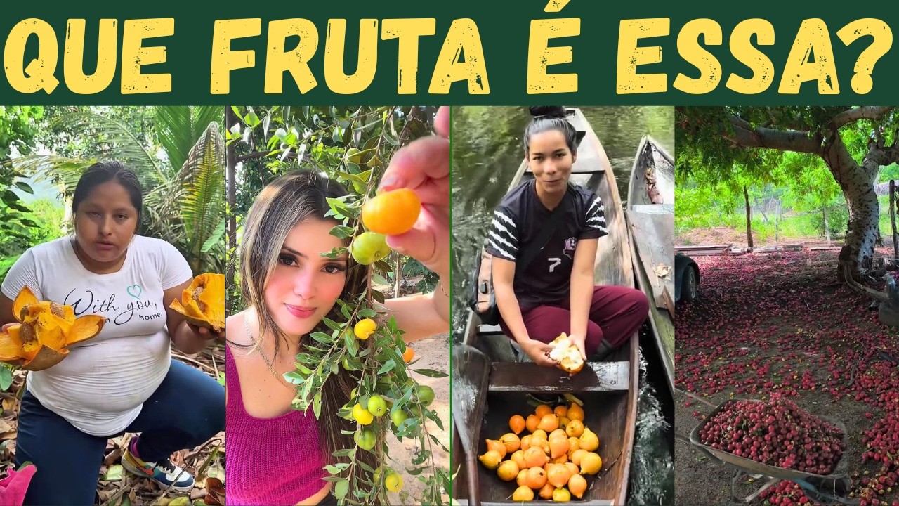 FRUTAS BRASILEIRAS que ninguém CONHECE!