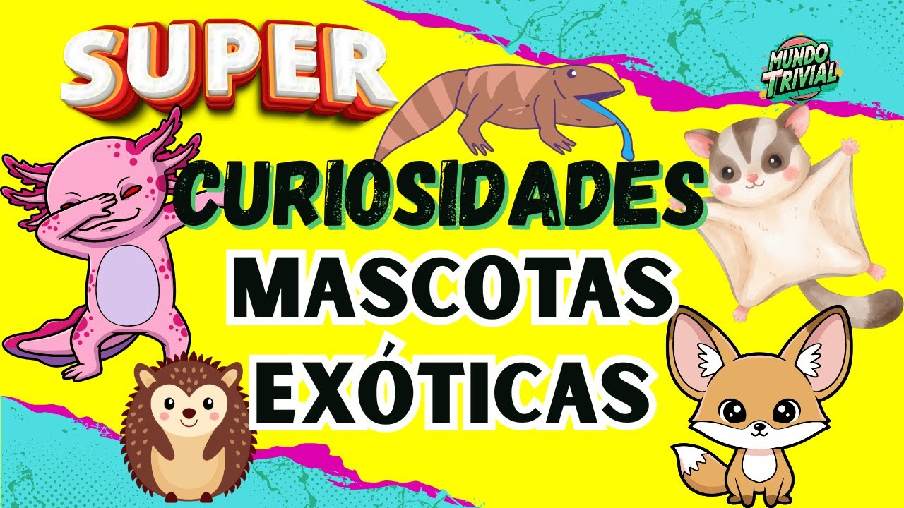 ¿Cuál Es La Mascota Exótica Más Inteligente? Aquí tienes varias de América, Asia y Oceanía
