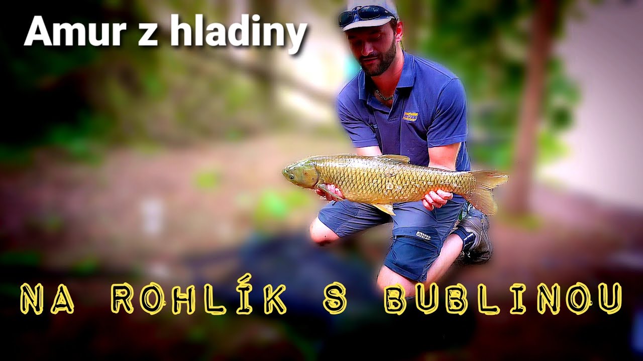 Amuři na rohlík / Montáž bublina / Ryby z hladiny / Plavaná