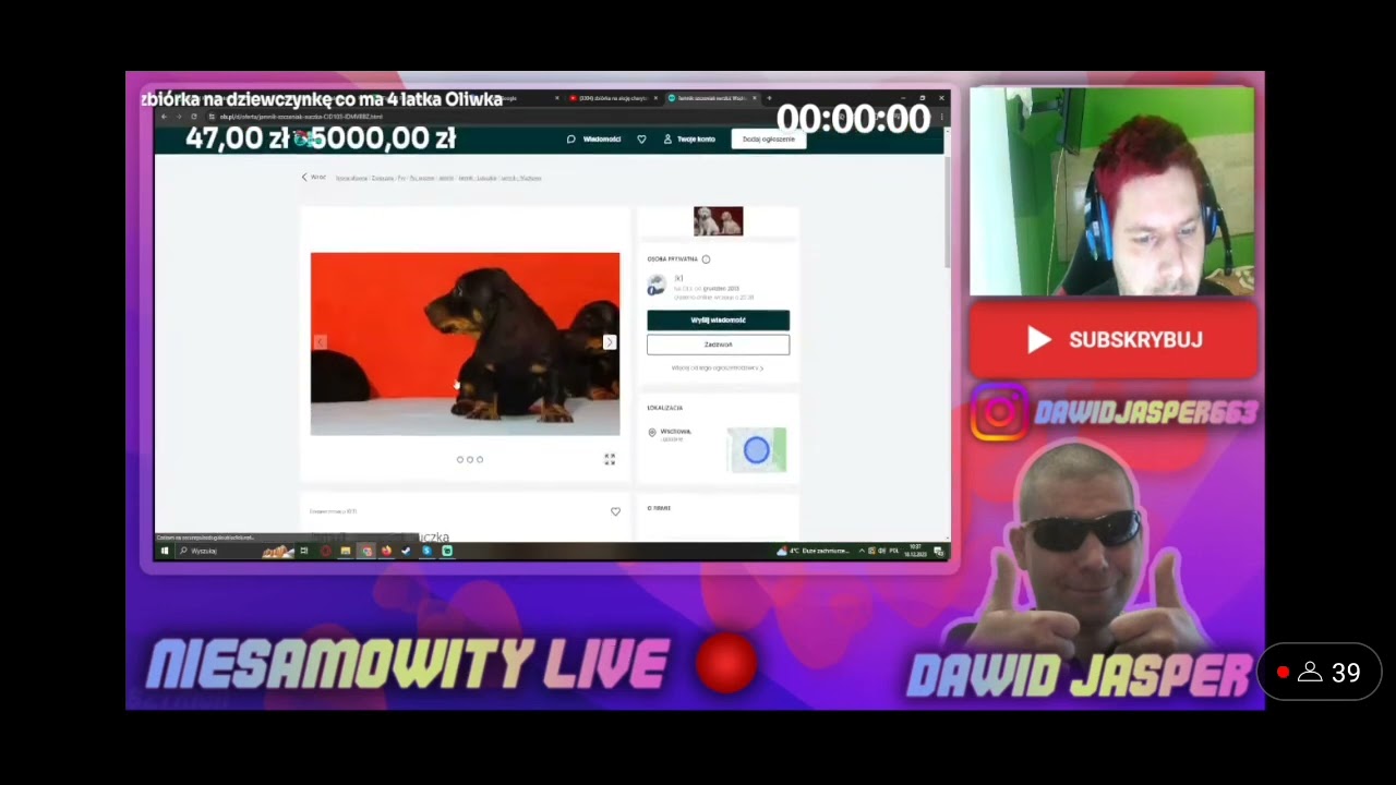 Dawid Jasper dzwoni po pieski z olx (śmieszne telefony) [1/3]