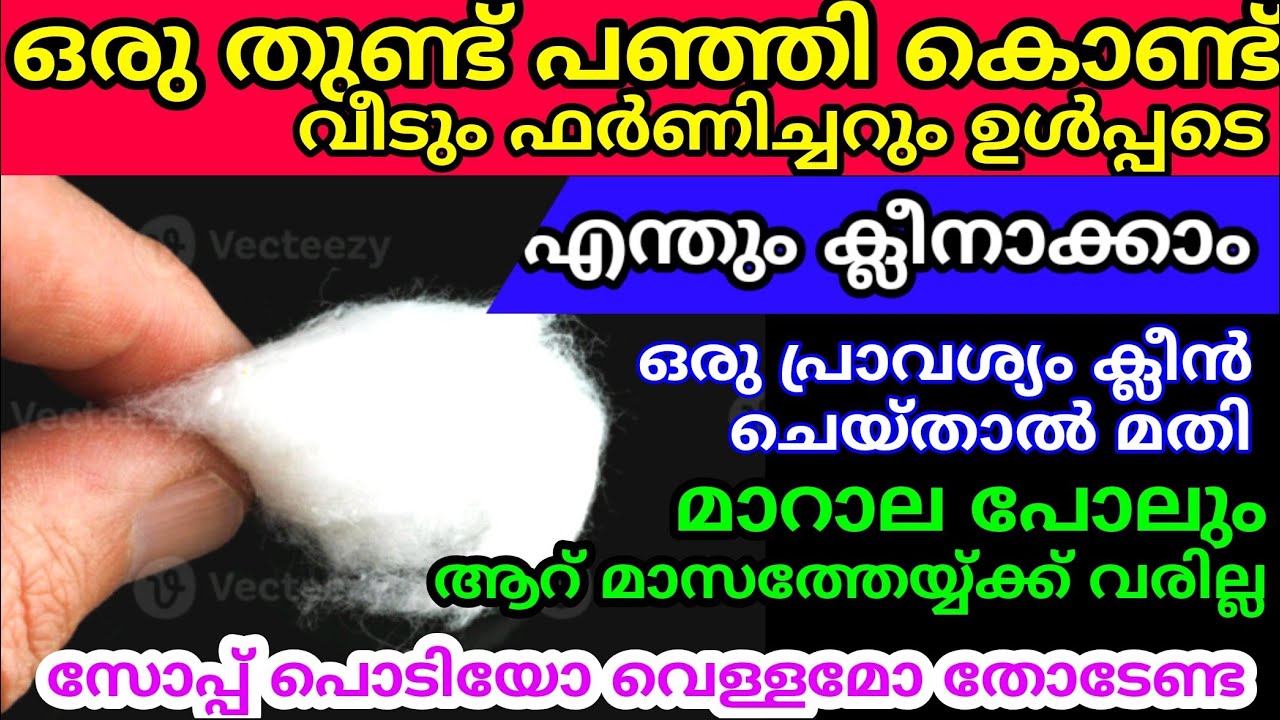 ഒരു പഞ്ഞി കഷ്ണം കൊണ്ട് എന്തൊക്കെ അമ്പരപ്പിയ്ക്കുന്ന കാര്യങ്ങളാ ചെയ്യാൻ പറ്റുന്നത് | Cleaning tips