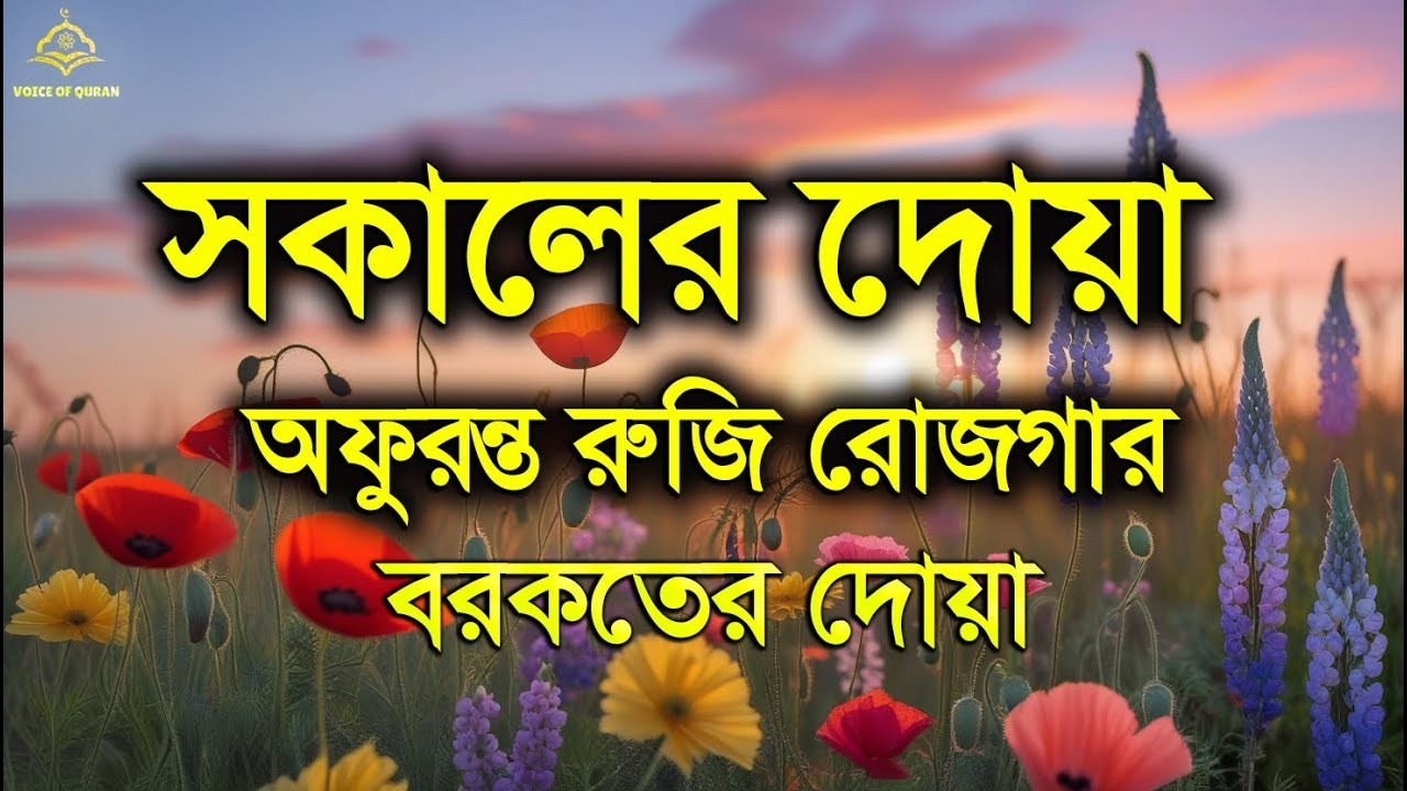 সকালটা শুরু হোক হৃদয় শীতল করা বরকতময় আয়াত দিয়ে।সকালের দোয়া ও জিকির।Morning Dua Full by Shamsul Haque
