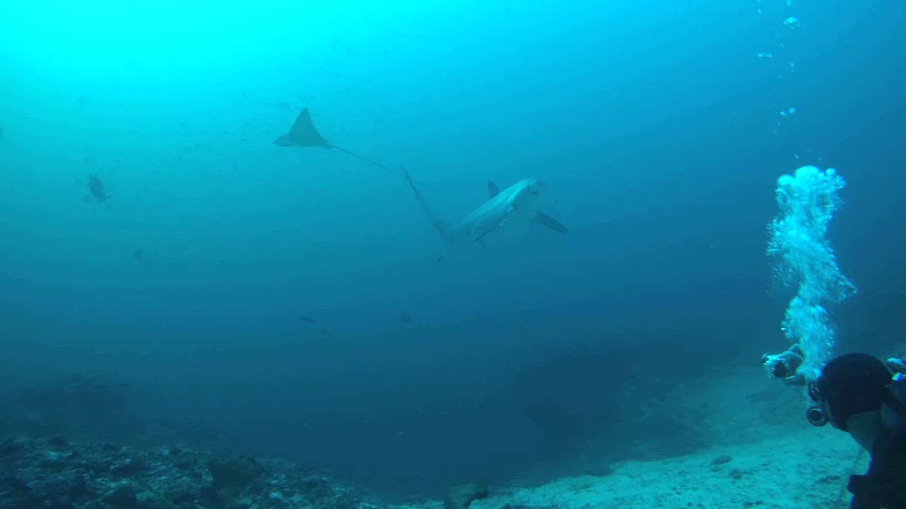 Monad Shoal 2014 Aug