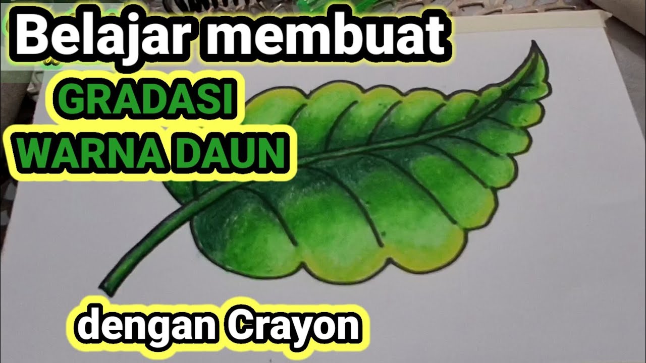 Belajar membuat gradasi warna daun dengan crayon
