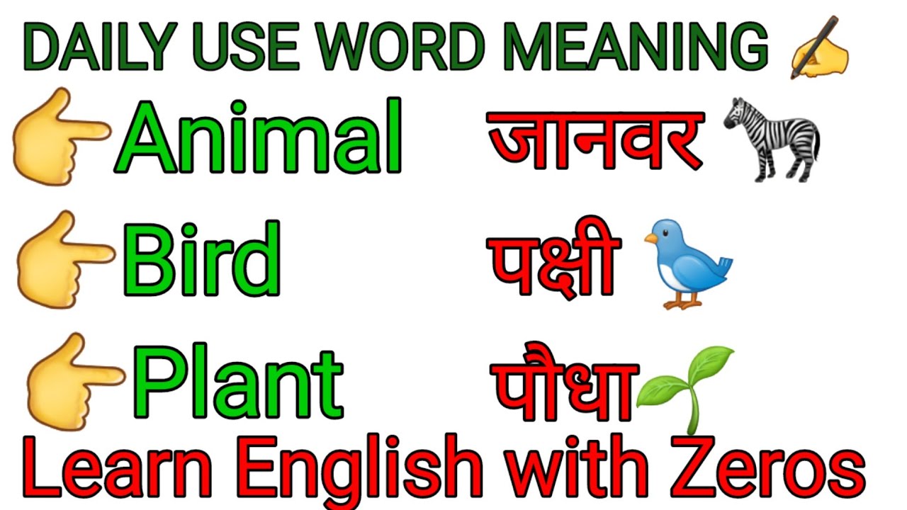 WORD MEANING। ।WORD DICTIONARY। ।WORD POWER। ।