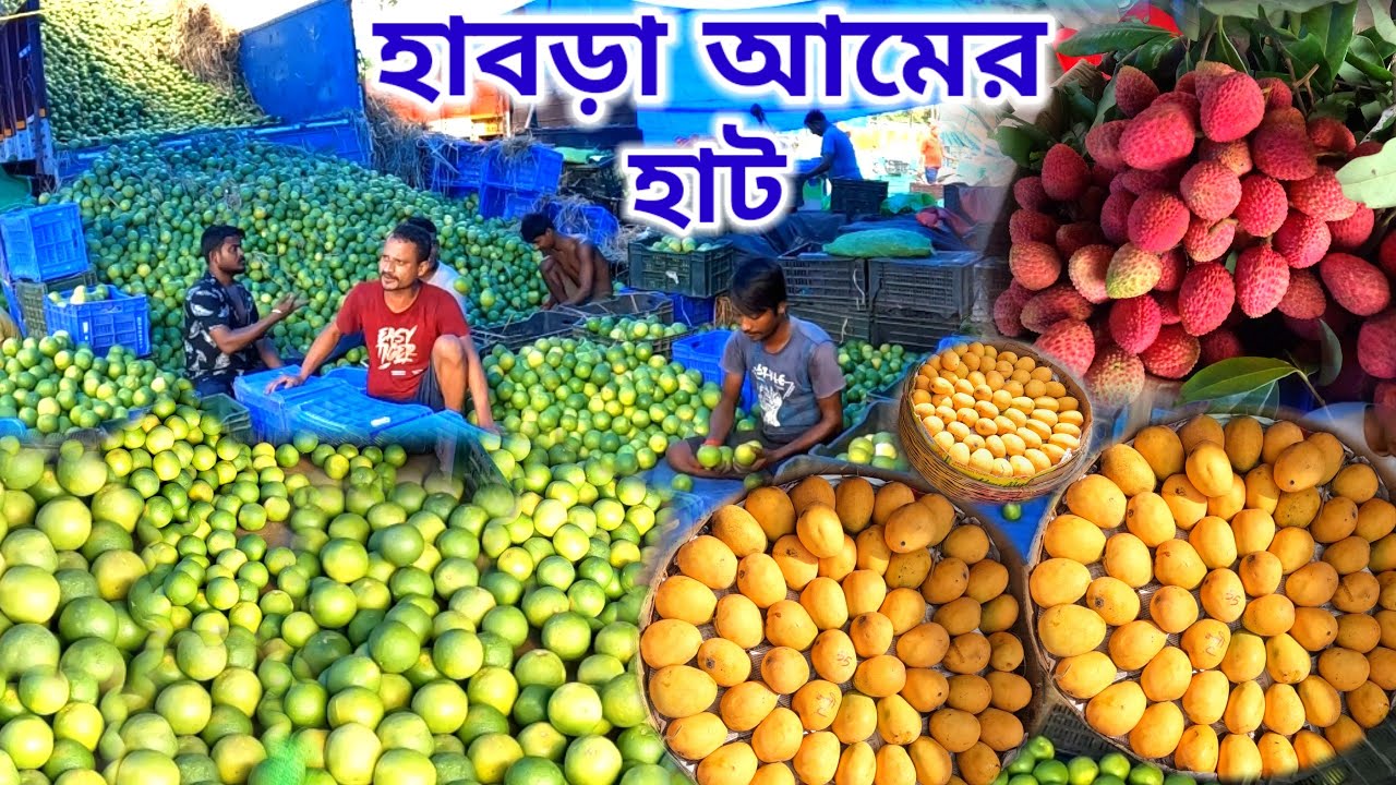 Habra mango market onwards Rs-5 ফলের রাজ্য| কলকাতা বিখ্যাত ফলের মার্কেট